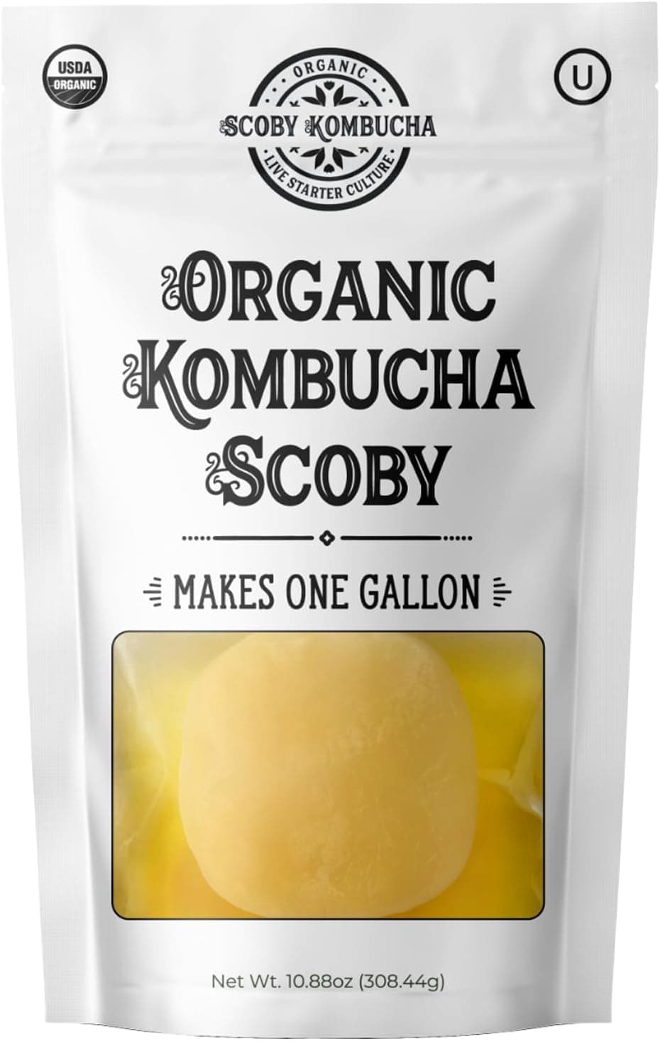 Organic Kombucha Scoby Live Culture by Scoby Kombucha