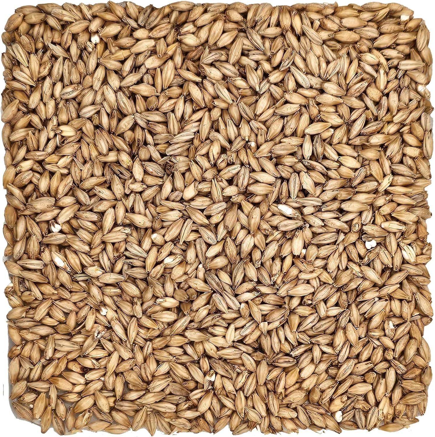 Briess U.S. Brewers Malt for Beer Making 1 lb (2 Row Brewers)