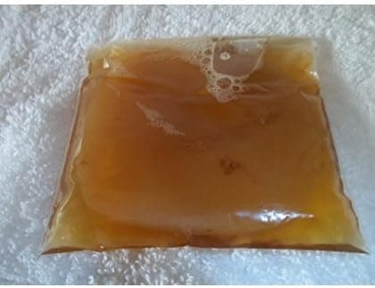 Organic Kombucha Scoby Live Culture Extra Large with 8oz Starter Tea
