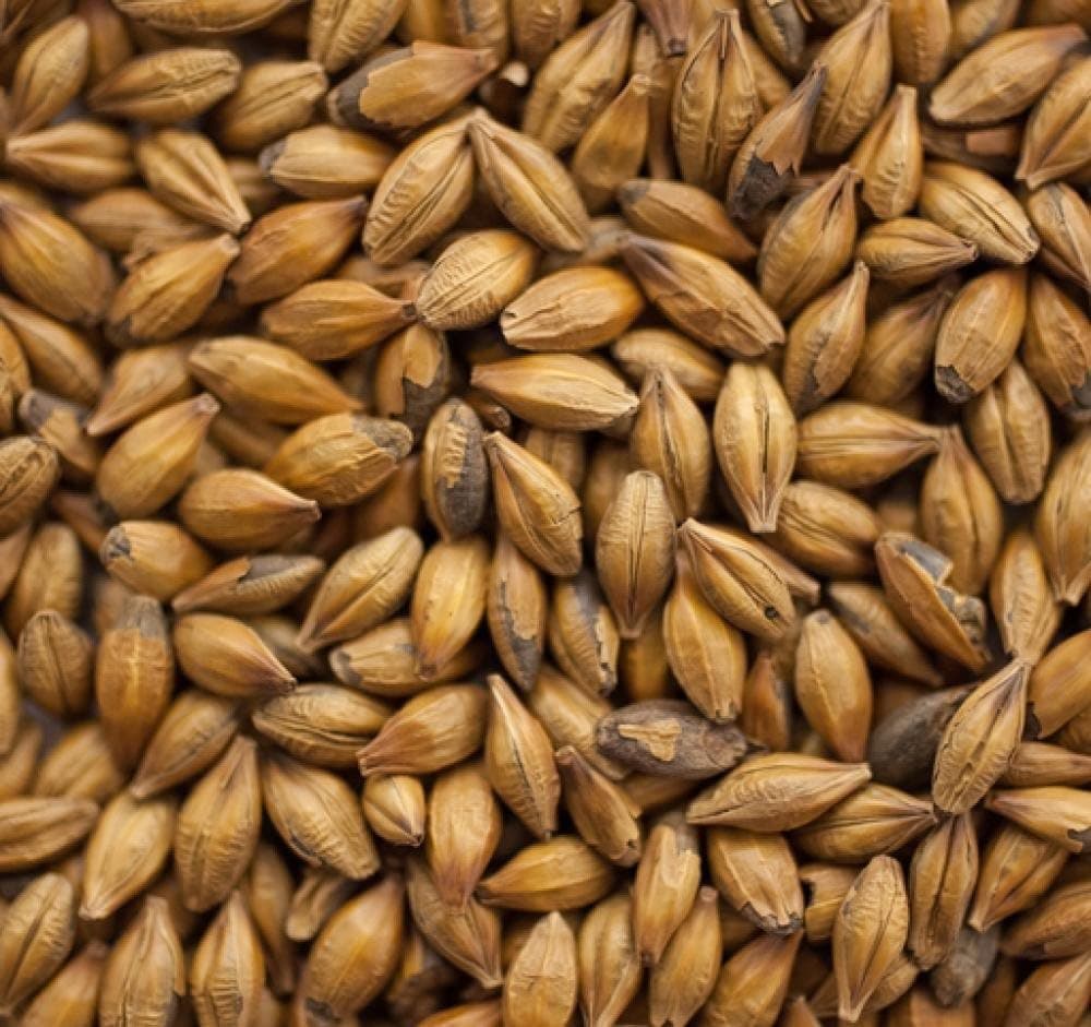 Bairds Crystal Malt (55L) - 1 LB, Uncrushed