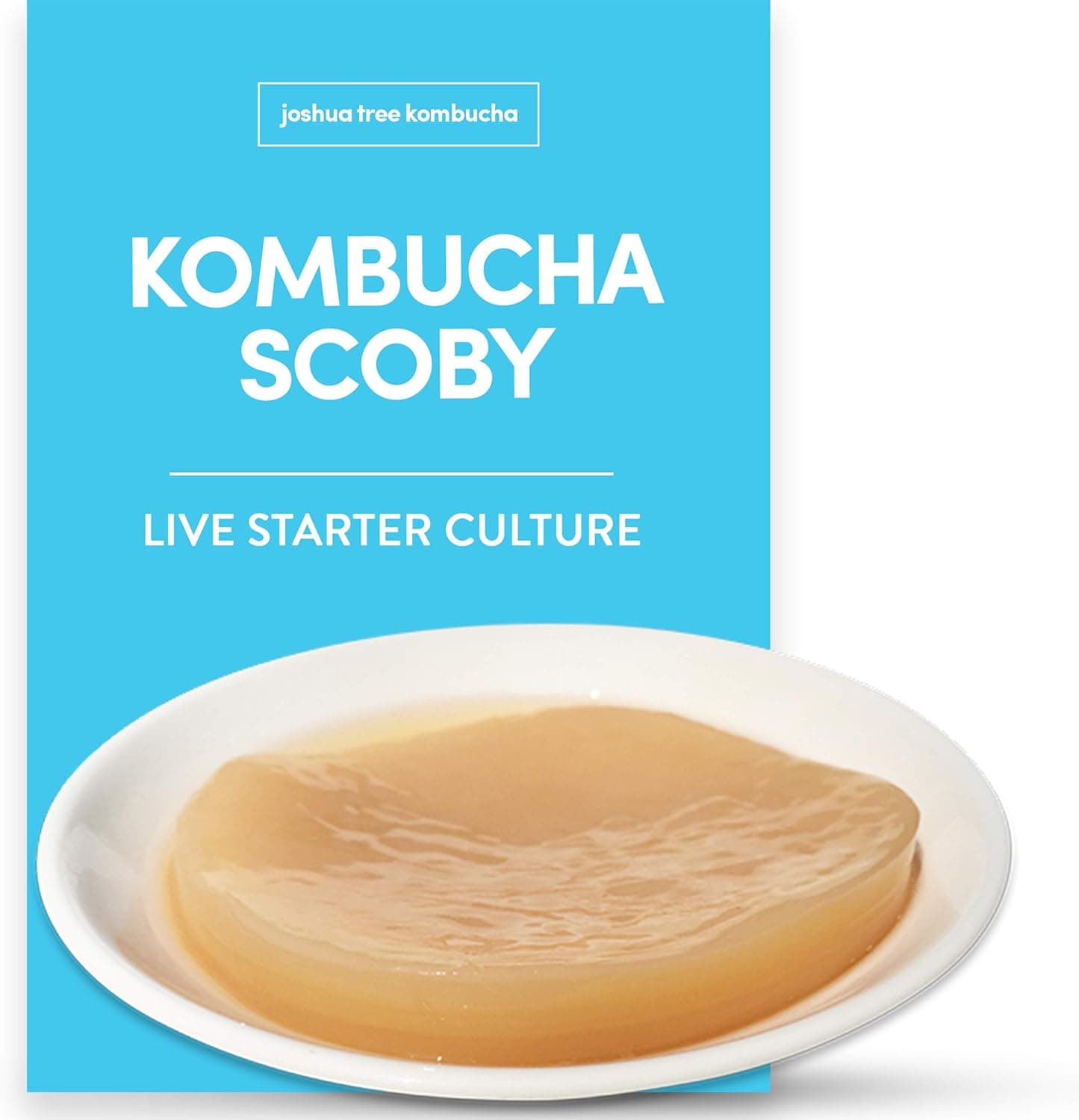 Kombucha Scoby and Starter Tea Live Culture (Makes 1 Quart)