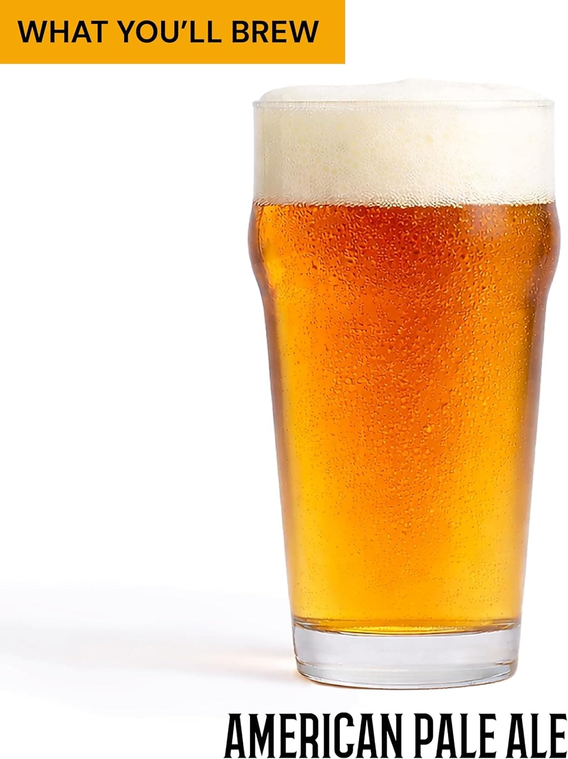 Best Beer Recipe Kits for Homebrewing (2026)