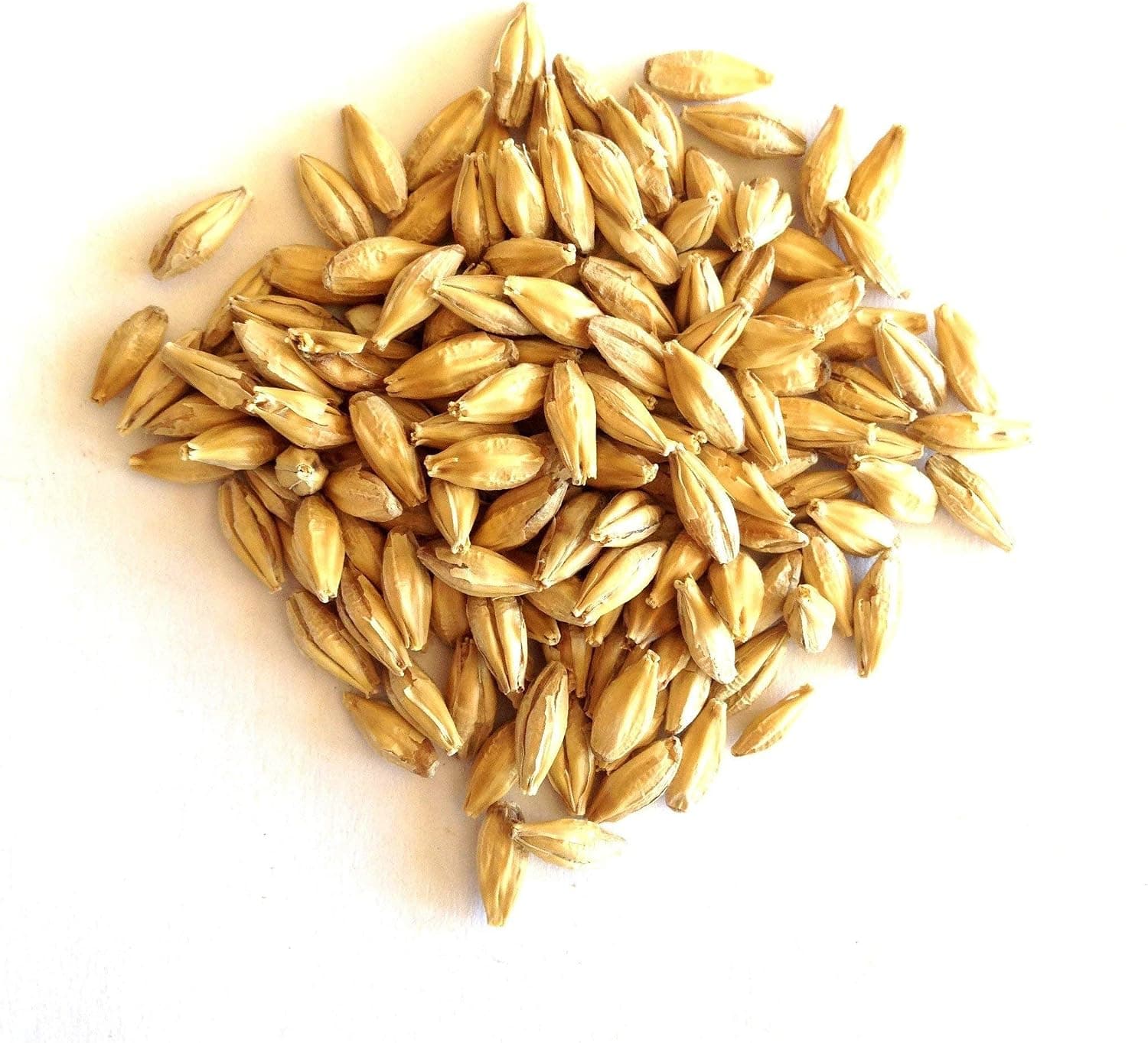 RAHR 6-Row Malted Barley 2 LBS CRUSHED, Vacuum Sealed